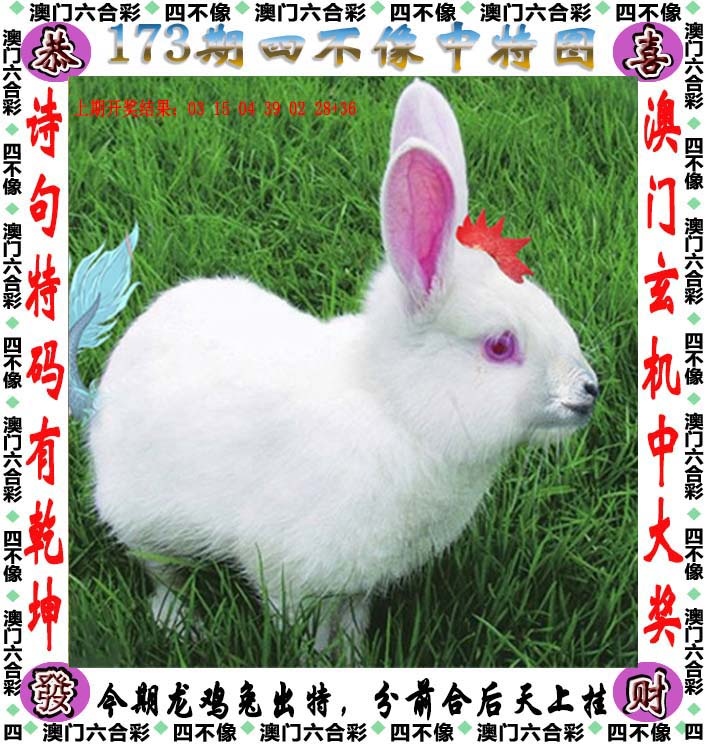 跑狗社区-四不像正在更新中，请稍后查看