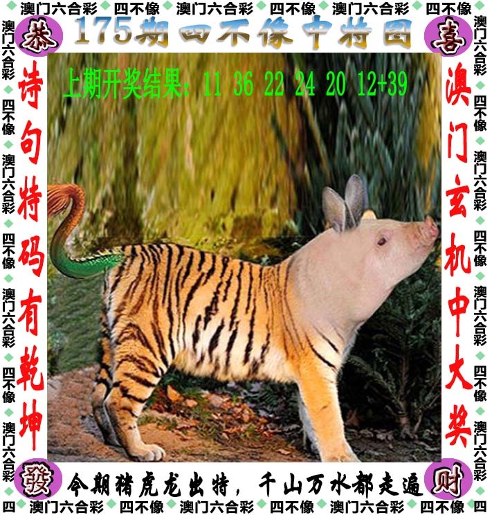 跑狗社区-四不像正在更新中，请稍后查看
