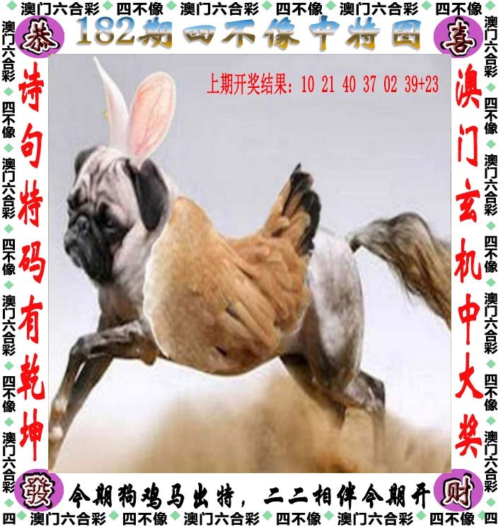 跑狗社区-四不像正在更新中，请稍后查看