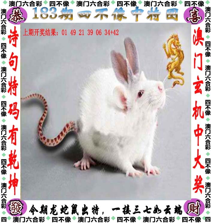 跑狗社区-四不像正在更新中，请稍后查看