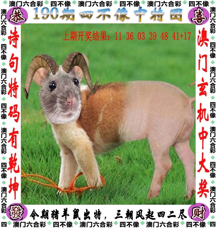 跑狗社区-四不像正在更新中，请稍后查看