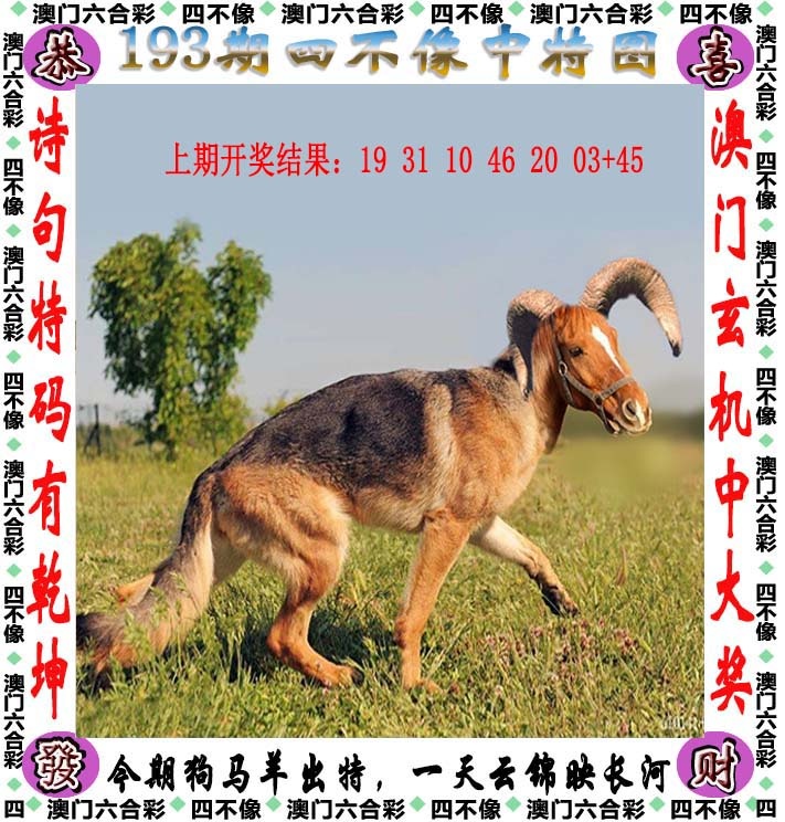 跑狗社区-四不像正在更新中，请稍后查看