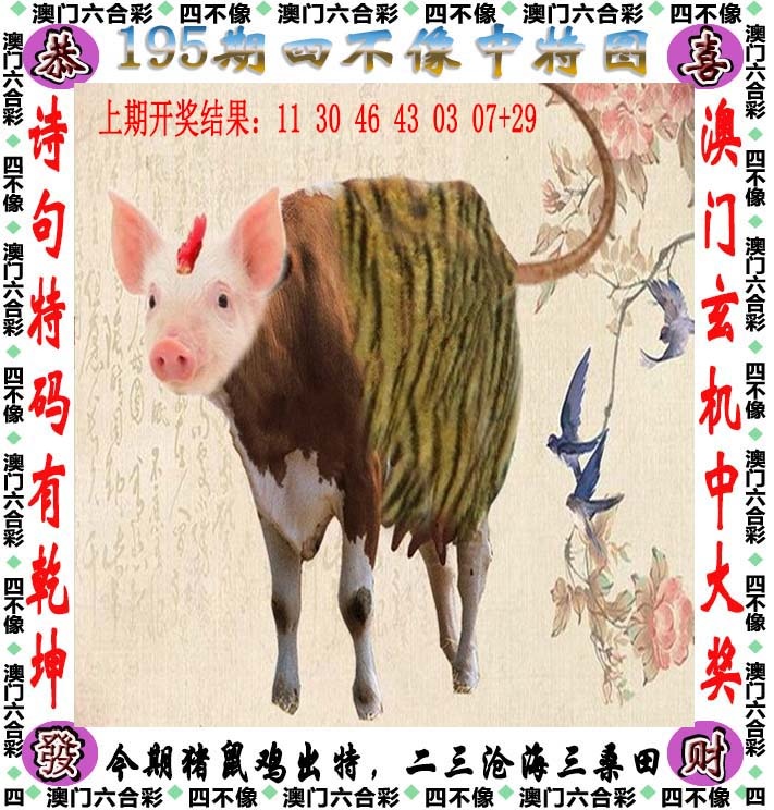 跑狗社区-四不像正在更新中，请稍后查看