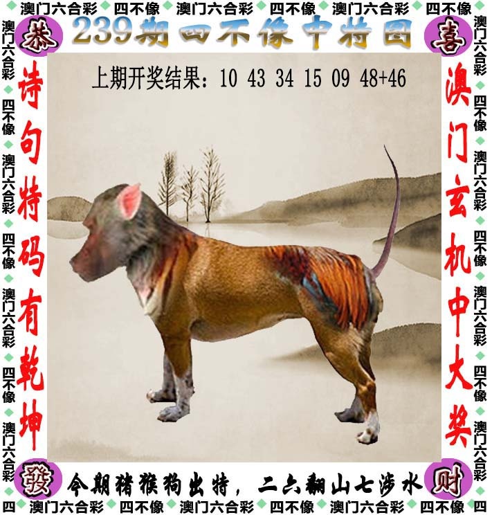 跑狗社区-四不像正在更新中，请稍后查看