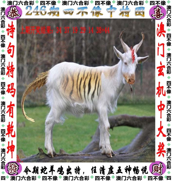 跑狗社区-四不像正在更新中，请稍后查看