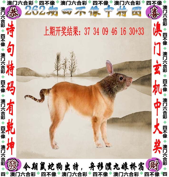 跑狗社区-四不像正在更新中，请稍后查看