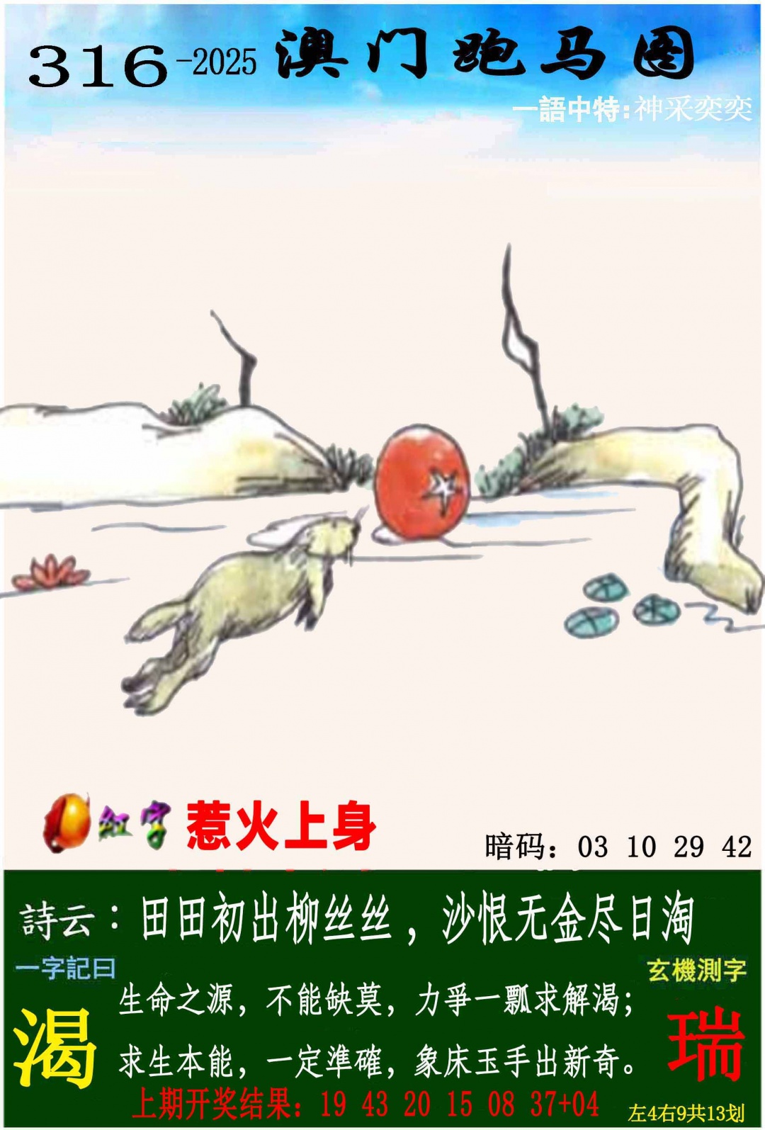 状元紅-跑马图正在更新中，请稍后查看